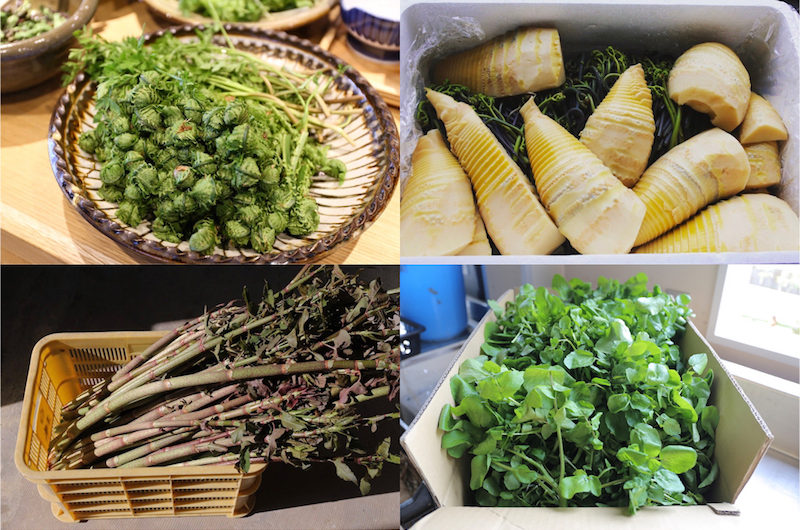 神山の山菜と新鮮なクレソン（左上：こごみ、右上：筍、わらび、右下：クレソン、左下：イタドリ）